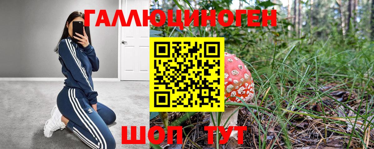 Галлюциногенные грибы Psilocybe  Вход с VPN  Волгоград 