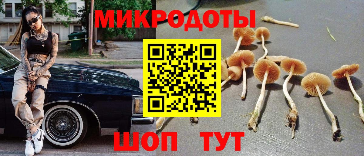 Галлюциногенные грибы прущие грибы Волгоград